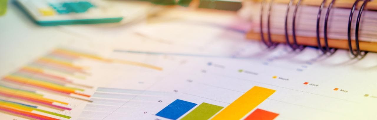 Training & Capacity Building